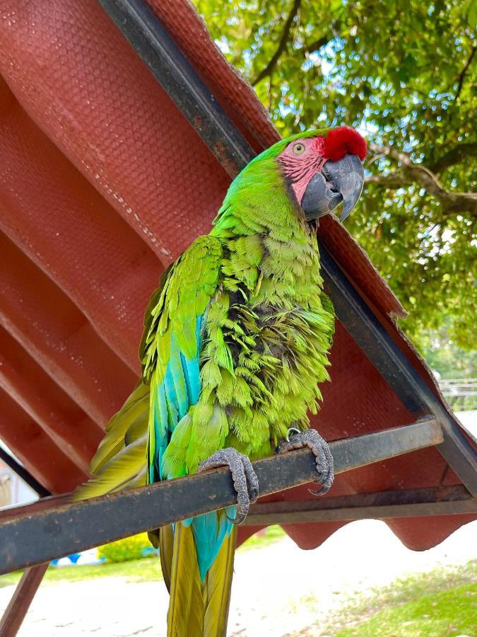 Hotel Posada El Encanto ソチテペック エクステリア 写真