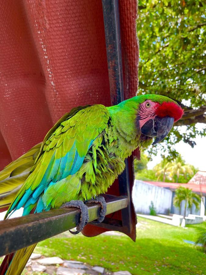 Hotel Posada El Encanto ソチテペック エクステリア 写真